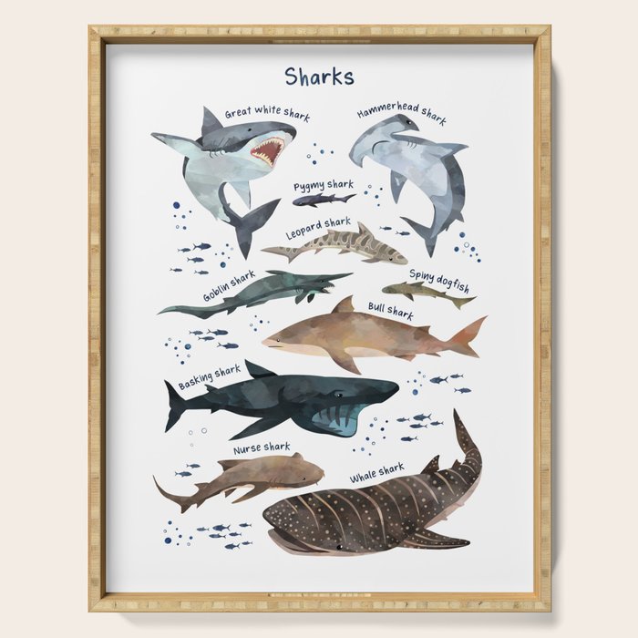 Sharks Serving Tray Gallery Image 1