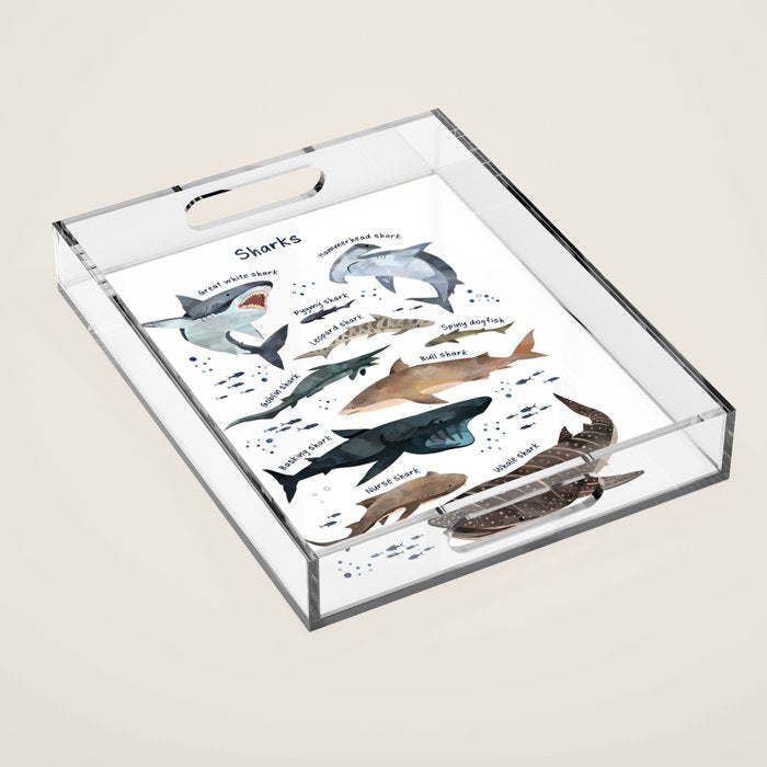 Sharks Acrylic Tray Gallery Image 1