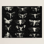 moths Jigsaw Puzzle Gallery Image 1