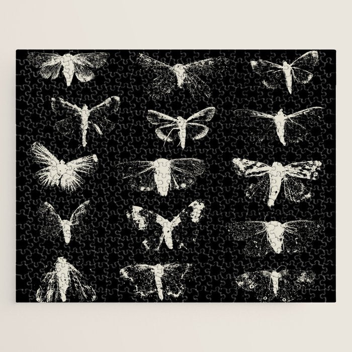 moths Jigsaw Puzzle Gallery Image 1