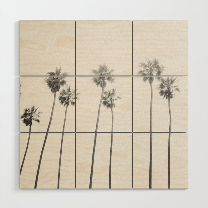 PALM TREES LXVII Wood Wall Art Gallery Image 1