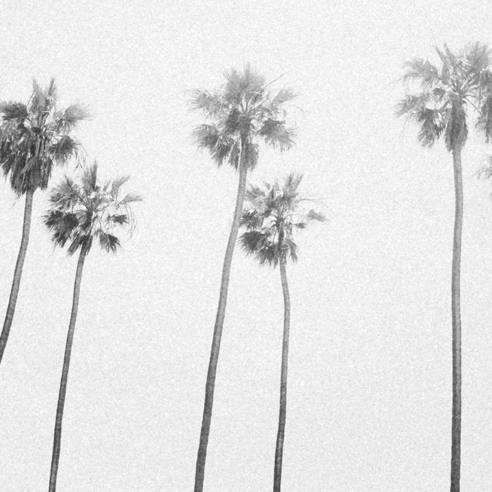PALM TREES LXVII Coffee Mug Gallery Image 2