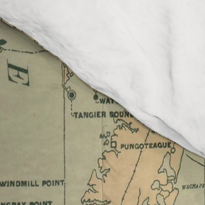 Vintage Outer Banks & Chesapeake Bay Lighthouse Map  Comforter Gallery Image 4