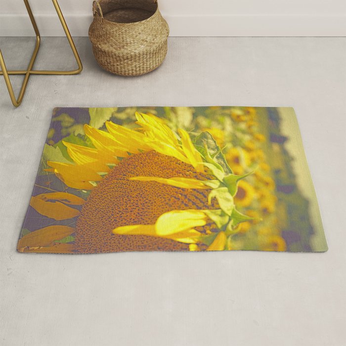 Summer Field Rug Gallery Image 1