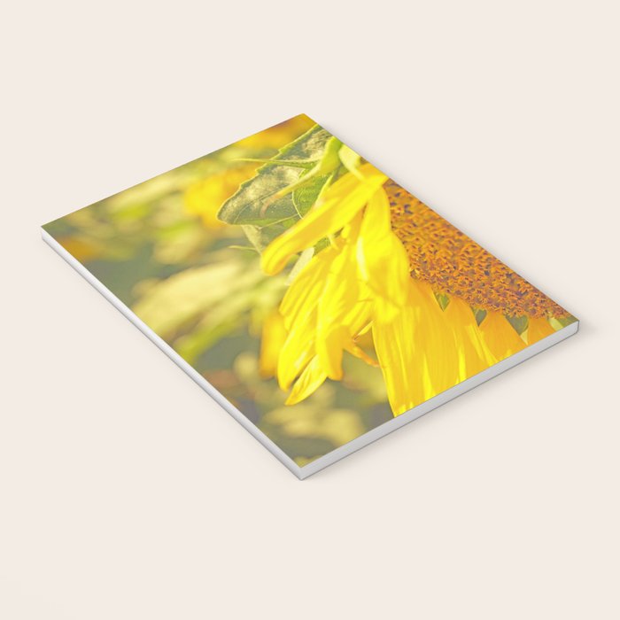 Summer Field Notebook Gallery Image 3