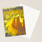 Summer Field Stationery Card Gallery Image 2
