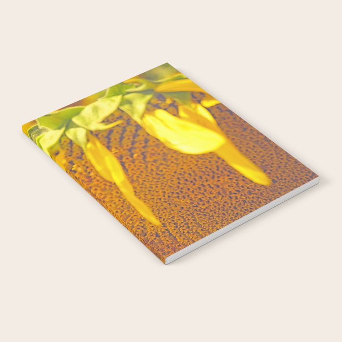 Summer Field Notebook Gallery Image 1