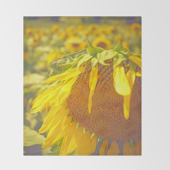 Summer Field Throw Blanket Gallery Image 2
