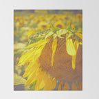 Summer Field Throw Blanket Gallery Image 2