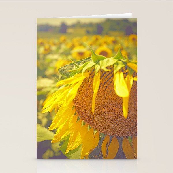 Summer Field Stationery Card Gallery Image 2