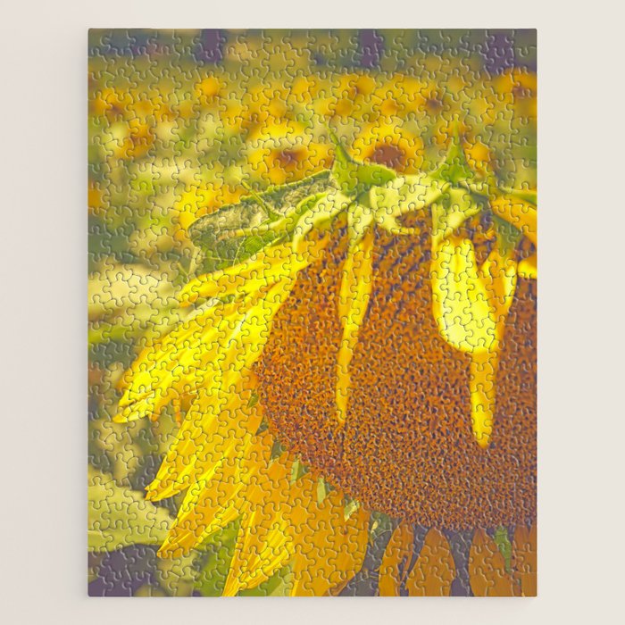 Summer Field Jigsaw Puzzle Gallery Image 1