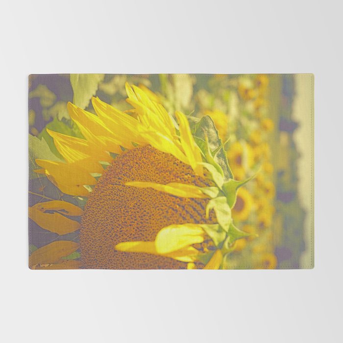 Summer Field Rug Gallery Image 2