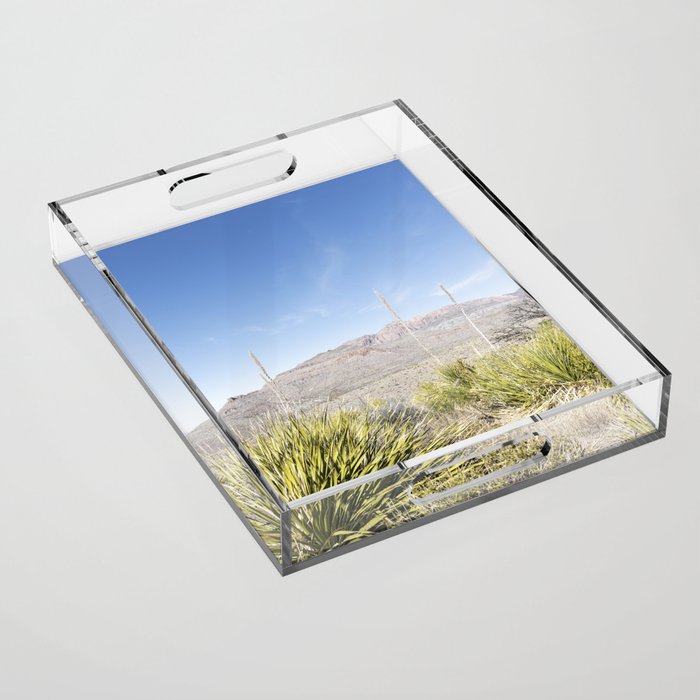 Sotol Vista II x Big Bend National Park Vertical Photography Acrylic Tray Gallery Image 1