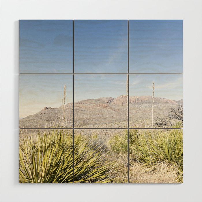Sotol Vista II x Big Bend National Park Vertical Photography Wood Wall Art Gallery Image 1