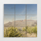 Sotol Vista II x Big Bend National Park Vertical Photography Wood Wall Art Gallery Image 1