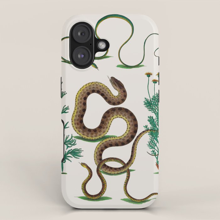 Albertus Seba Three Snakes Illustration Locupletissimi rerum naturalium thesauri accurata descriptio iPhone Case Gallery Image 1
