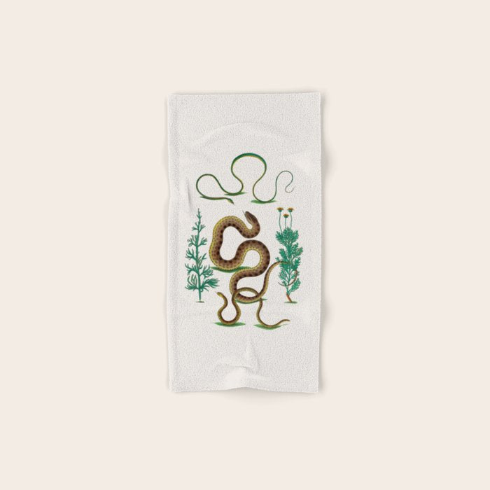 Albertus Seba Three Snakes Illustration Locupletissimi rerum naturalium thesauri accurata descriptio Bath Towel Gallery Image 1