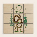 Albertus Seba Three Snakes Illustration Locupletissimi rerum naturalium thesauri accurata descriptio Wood Wall Art Gallery Image 1