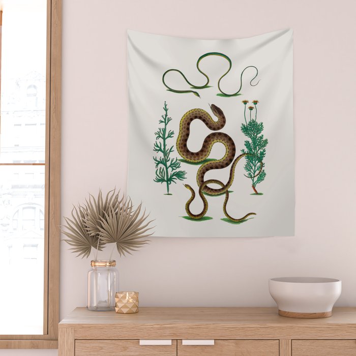 Albertus Seba Three Snakes Illustration Locupletissimi rerum naturalium thesauri accurata descriptio Wall Tapestry Gallery Image 2