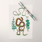 Albertus Seba Three Snakes Illustration Locupletissimi rerum naturalium thesauri accurata descriptio Wrapping Paper Gallery Image 1