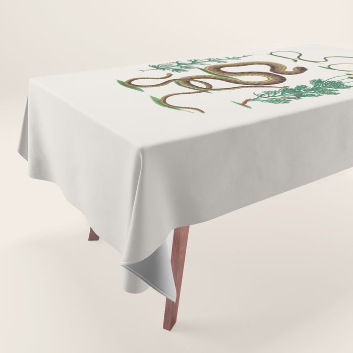 Albertus Seba Three Snakes Illustration Locupletissimi rerum naturalium thesauri accurata descriptio Tablecloth Gallery Image 1