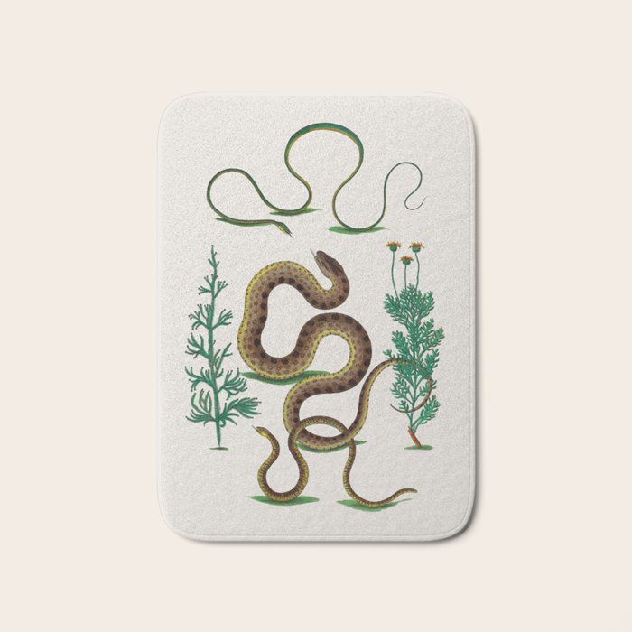 Albertus Seba Three Snakes Illustration Locupletissimi rerum naturalium thesauri accurata descriptio Bath Mat Gallery Image 1