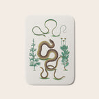 Albertus Seba Three Snakes Illustration Locupletissimi rerum naturalium thesauri accurata descriptio Bath Mat Gallery Image 1