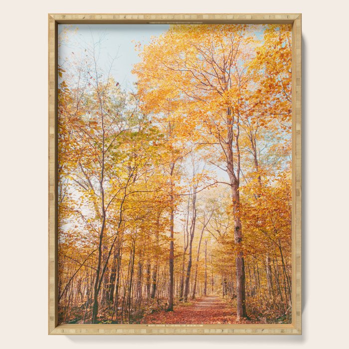 Autumn Glory - Nature, Fall Forest Landscape Photography Serving Tray Gallery Image 1