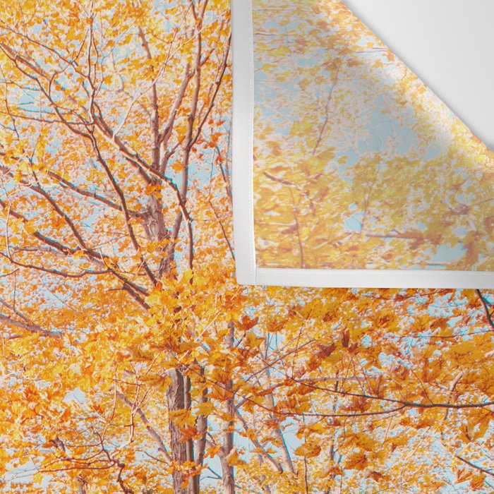 Autumn Glory - Nature, Fall Forest Landscape Photography Wall Tapestry Gallery Image 3