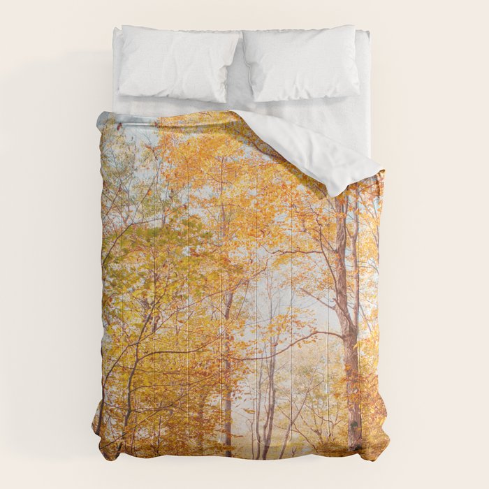Autumn Glory - Nature, Fall Forest Landscape Photography Comforter Gallery Image 6