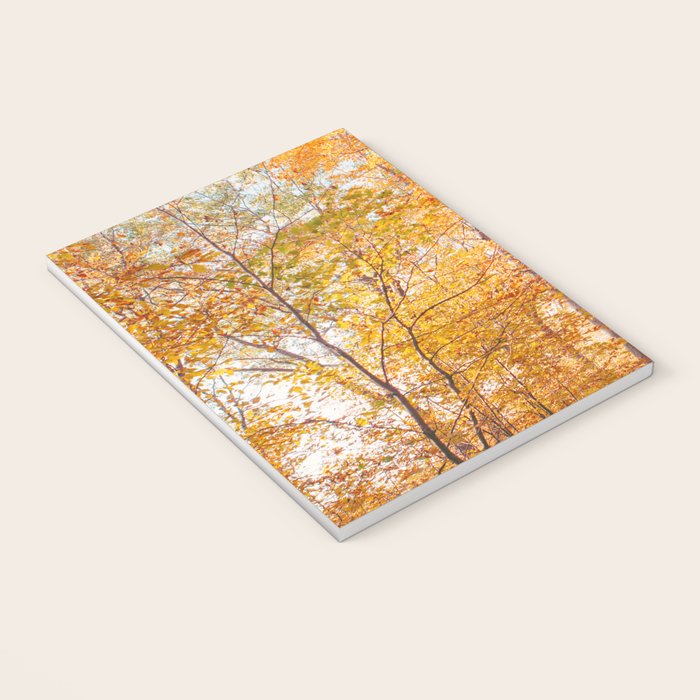 Autumn Glory - Nature, Fall Forest Landscape Photography Notebook Gallery Image 3