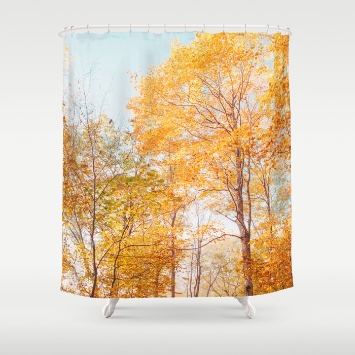 Autumn Glory - Nature, Fall Forest Landscape Photography Shower Curtain Gallery Image 1