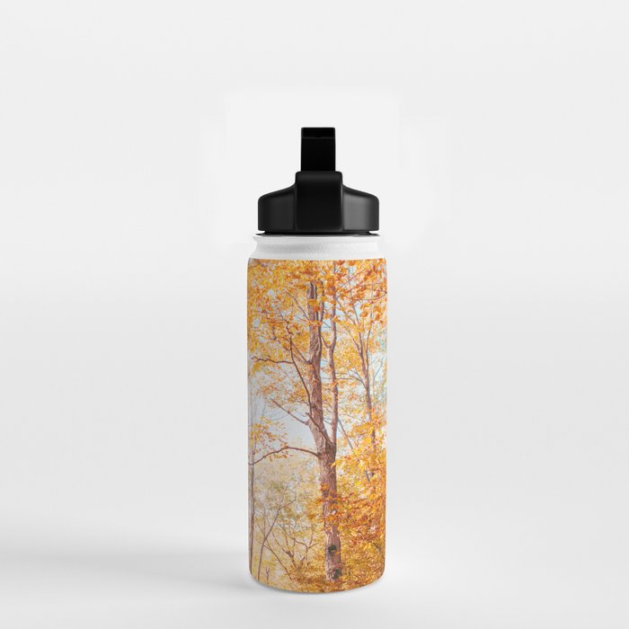 Autumn Glory - Nature, Fall Forest Landscape Photography Water Bottle Gallery Image 2