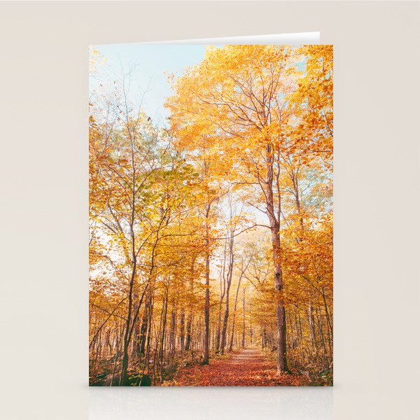 Autumn Glory - Nature, Fall Forest Landscape Photography Stationery Card Gallery Image 1
