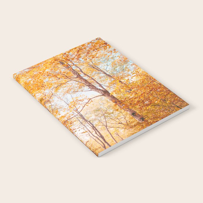 Autumn Glory - Nature, Fall Forest Landscape Photography Notebook Gallery Image 2