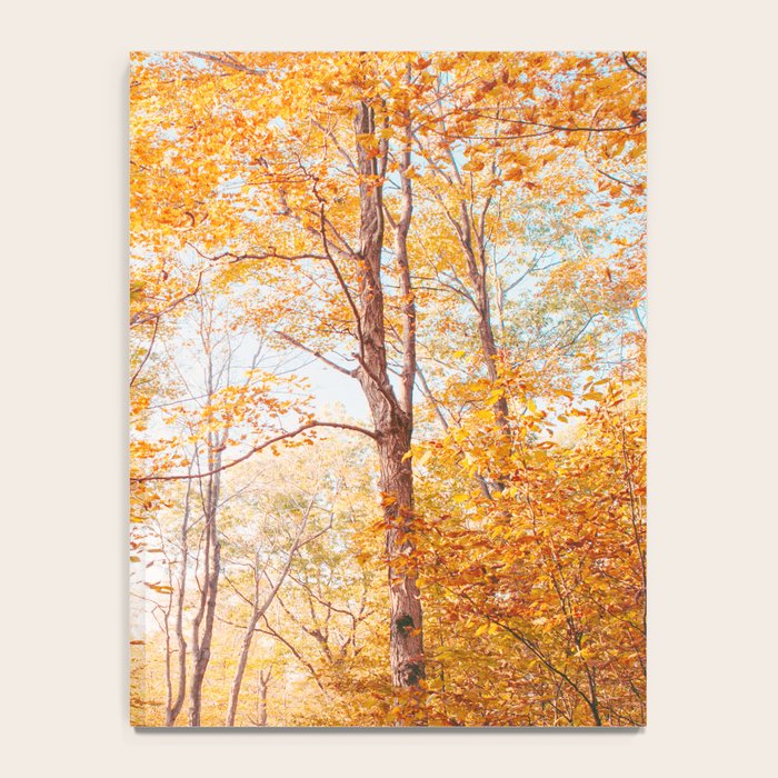 Autumn Glory - Nature, Fall Forest Landscape Photography Notebook Gallery Image 4