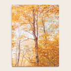 Autumn Glory - Nature, Fall Forest Landscape Photography Notebook Gallery Image 4