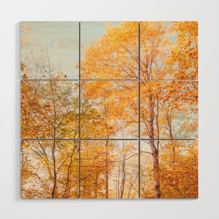 Autumn Glory - Nature, Fall Forest Landscape Photography Wood Wall Art Gallery Image 1