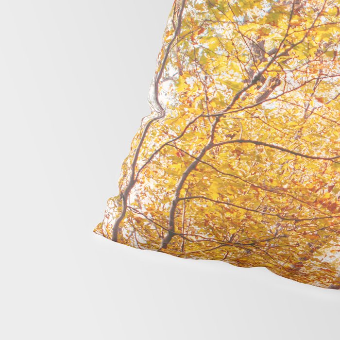 Autumn Glory - Nature, Fall Forest Landscape Photography Pillow Sham Gallery Image 4