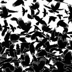 Raven Crow Flying Birds Abstract Goth Halloween Pattern Coffee Mug Gallery Image 2