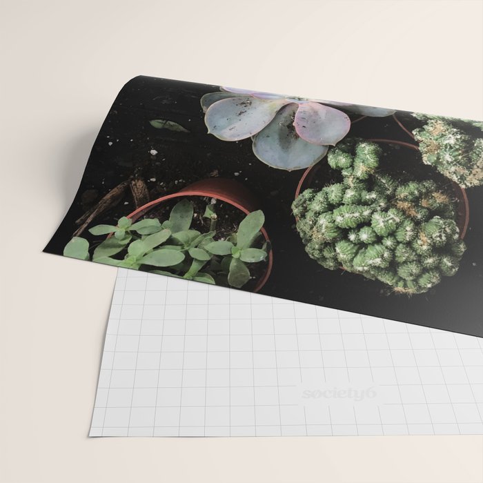 Plant Collection Wrapping Paper Gallery Image 2
