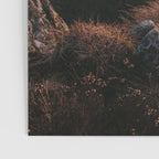 Evening Mood - Landscape and Nature Photography Poster Gallery Image 3