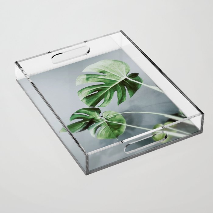 Monstera Leaves Acrylic Tray Gallery Image 1
