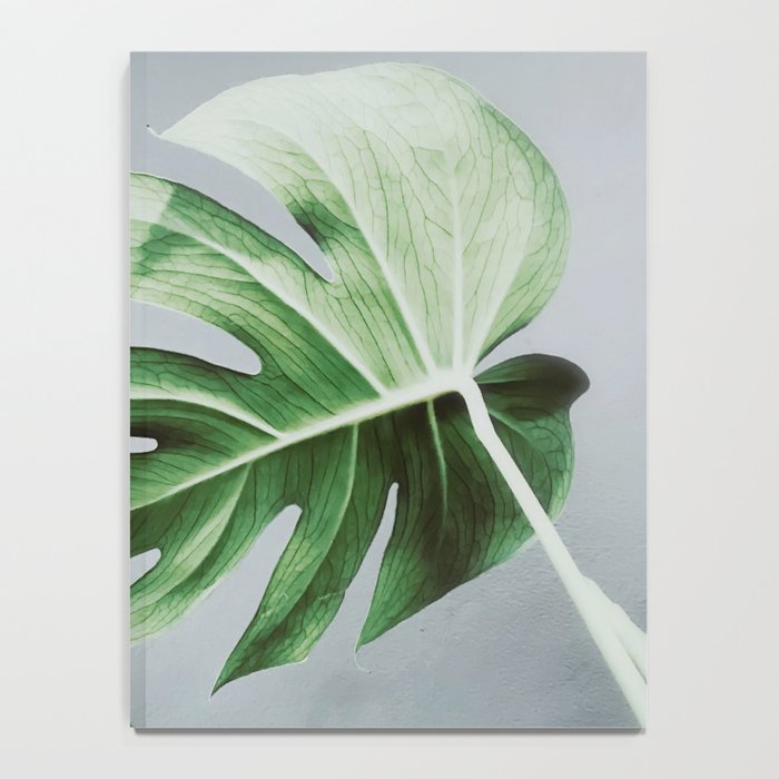 Monstera Leaves Notebook Gallery Image 4