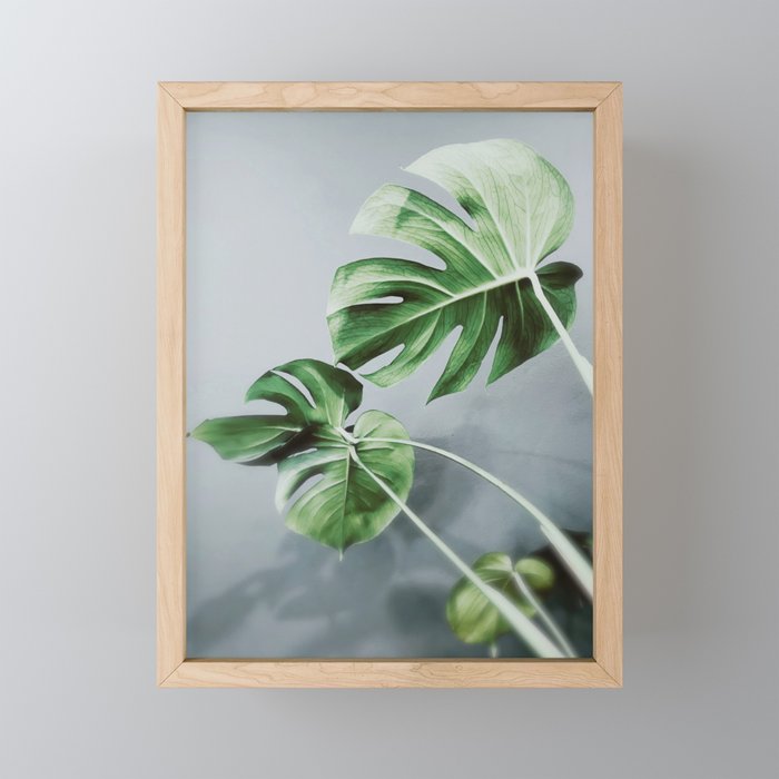 Monstera Leaves Mini Art Print Gallery Image 1