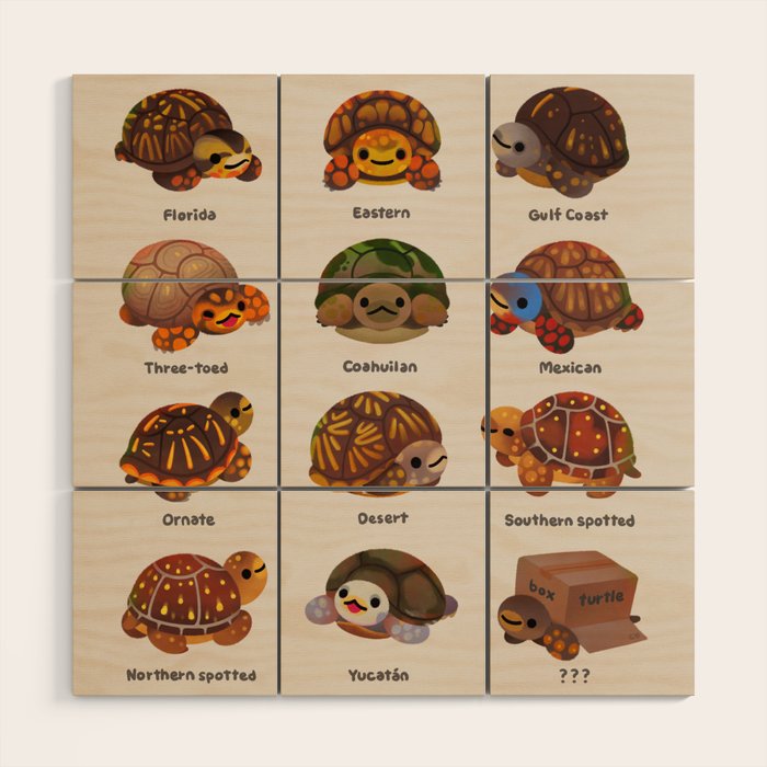 Box turtle Wood Wall Art Gallery Image 1