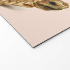 DISCO TURTLE Welcome Mat Gallery Image 2