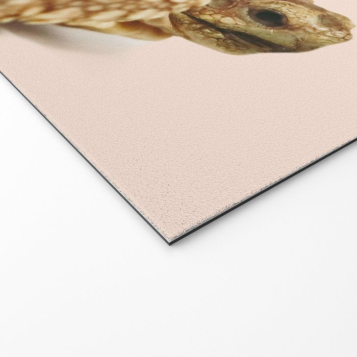 DISCO TURTLE Welcome Mat Gallery Image 2