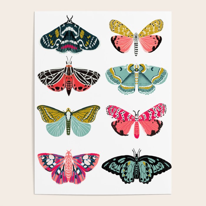 Moths - white background, moth print, moth art, moth sticker, moths, moth art Poster Gallery Image 4