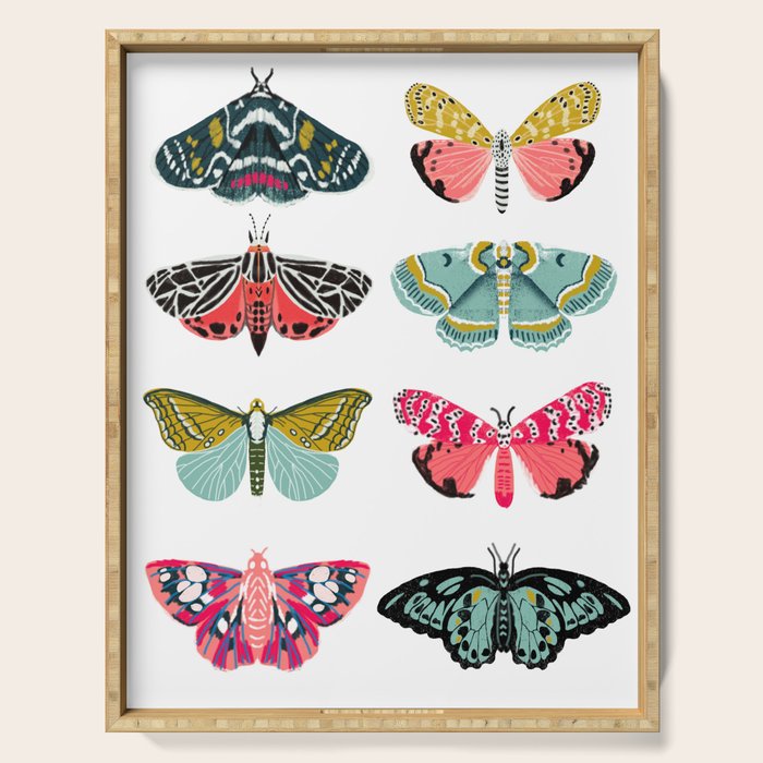 Moths - white background, moth print, moth art, moth sticker, moths, moth art Serving Tray Gallery Image 1